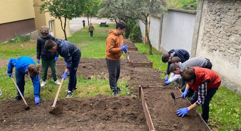 Újraindult a háromszéki Kiskertész program – Meglepetésmag is kerül a csomagba
