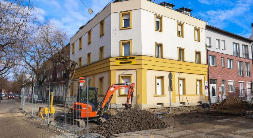 Kivágták az árnyékot adó fákat, most érkeznek az újak a Gogol utcába