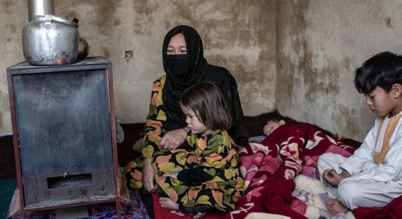 Minden idők legnagyobb élelmiszerválsága közeleg: 2008 óta nem láttak ilyet