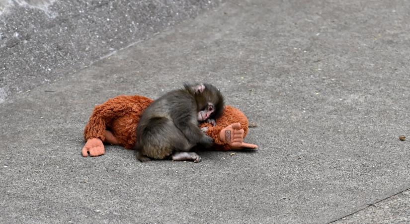 Itt van öt remek hír a nagyvilágból, hogy ne érezd folyton vacakul magad