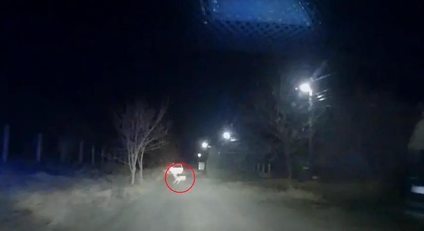 Éppen kergették a rendőrök az autóst, figyeld, mi ugrott ki eléjük!