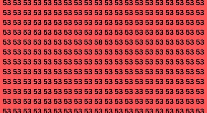 Csak az igazán szemfülesek találják meg a két különböző számot