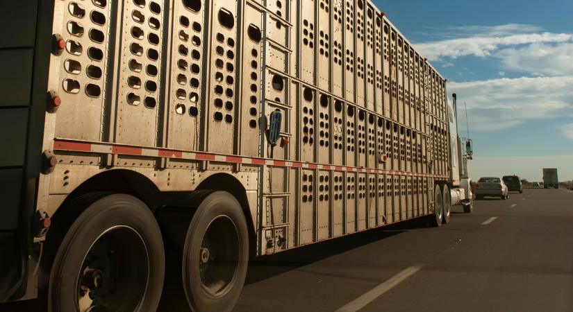 Londonba készülsz? Nem árt tudni, mi kerül a tányérodra!