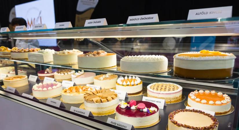 Magyarország tortája: íme az első hat középdöntős