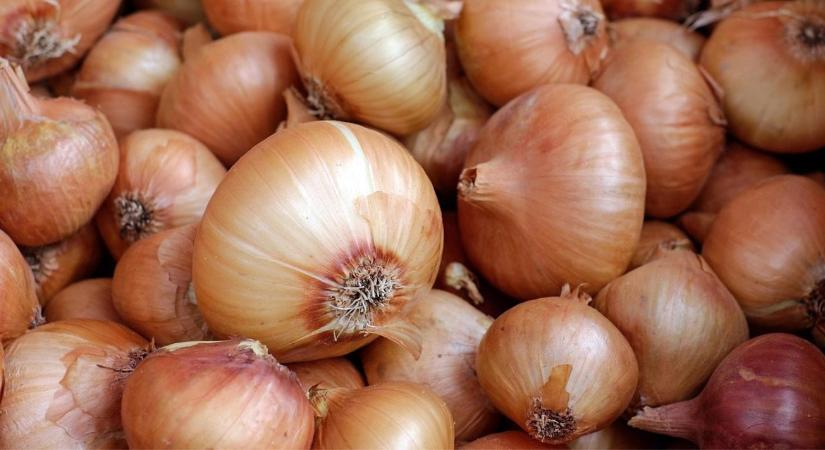 Holland invázió és kínai fagyasztott áru: miért nincs esélye idén a lengyel hagymának?