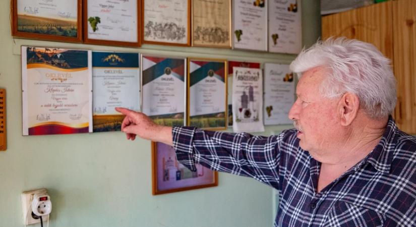 Csend, nyugalom, madárcsicsergés – és vörösbor Kisfakoson