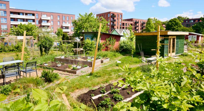 2 milliárd forintot osztanak szét itthon: ezek a magyarok kaphatnak belőle