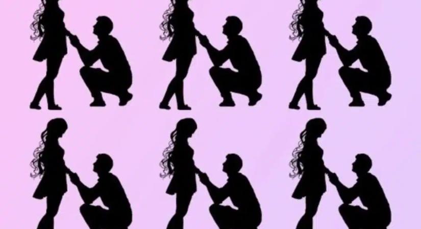 Ez a fejtörő sokakat megzavar: kiszúrod a kakukktojást a párok között?