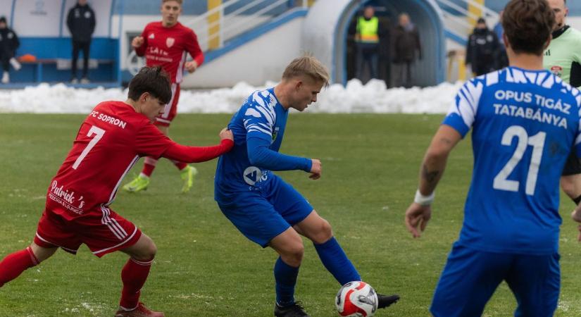 Horváth Ferencék lendületben – a Tatabánya visszavághat a Budaörsnek az őszi vereségért