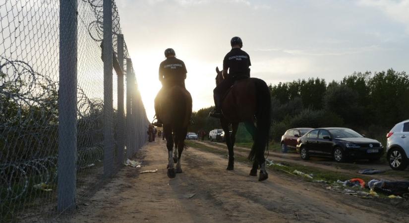 Újabb migrációs válság fenyegeti európát? A Nemzetközi Migrációs szervezet főigazgatója aggódik