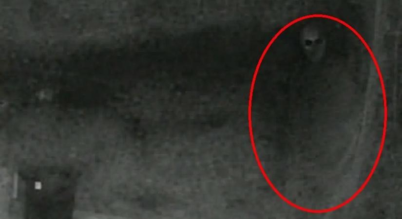 Koponyarém jelent meg Gödön: a lény farkasszemet nézett egy családdal