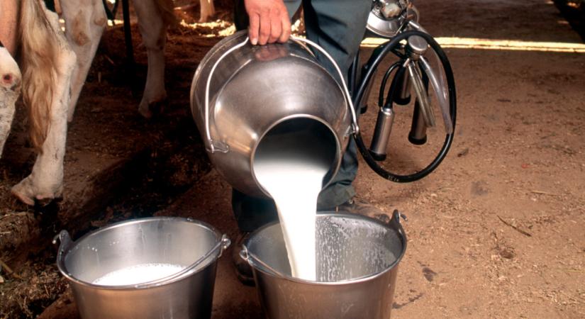 Váratlan fordulat a magyar boltokban: potom pénzért adják a tejet, 200 forintért is hozzájuthatunk