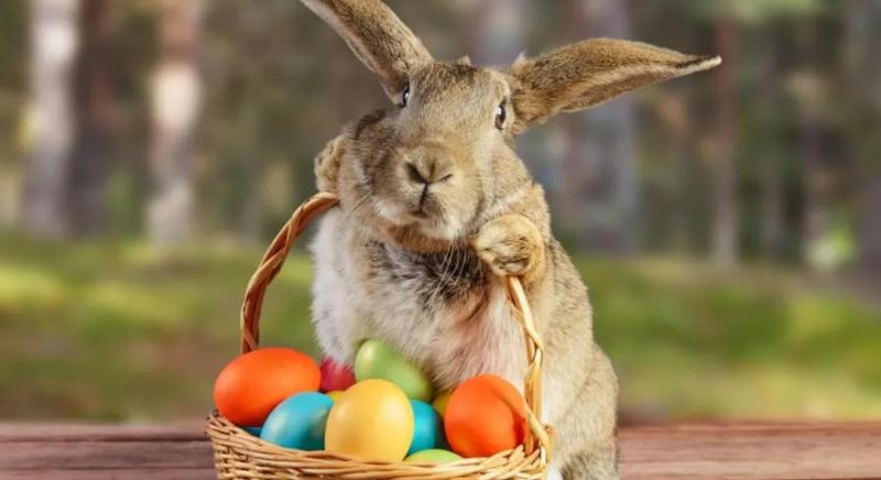 Jáksónak csak ennyi kellett: nyusz-nyusz, és máris megnősült