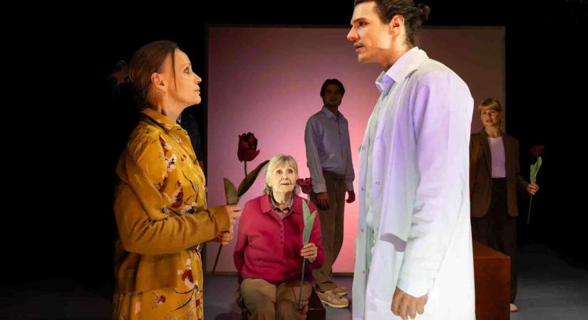 NEHEZEN ALAKUL Pass Andrea: Könnyűvel indul / Vígszínház, Házi Színpad