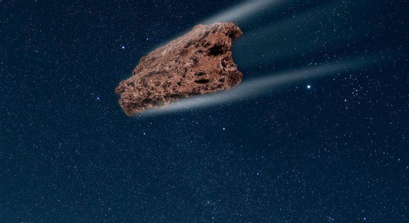 Egy baktérium lehet a nagy titok tudója