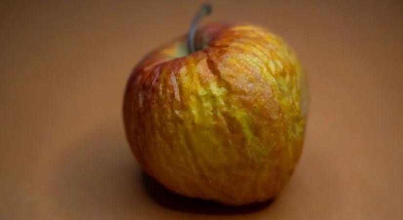 Sokan kidobják a ráncos almát, pedig ezekhez az ételekhez az a legjobb