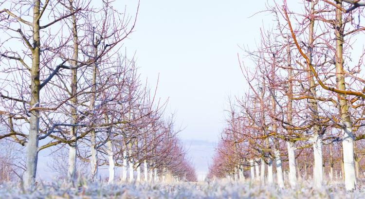 Csupa meglepetés eddig 2026 az agráriumnak