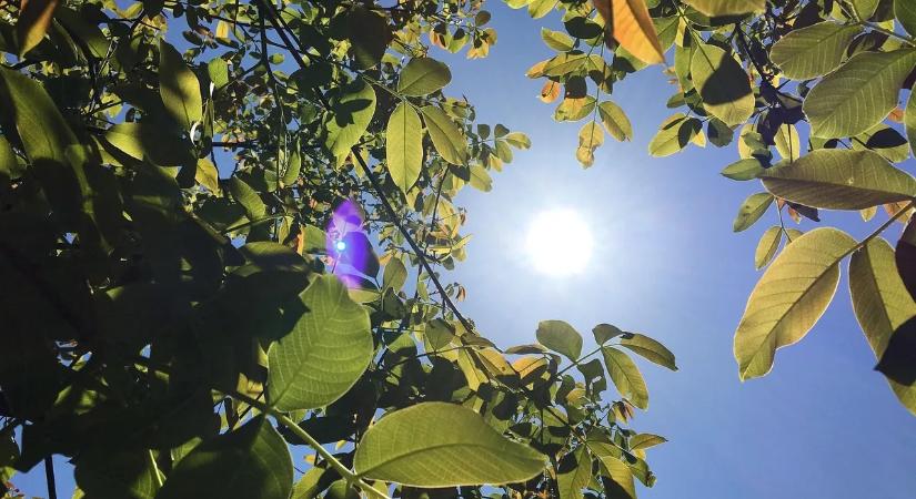 Ideje lesz kimenni a szabadba: folytatódik a napsütéssel teli időjárás