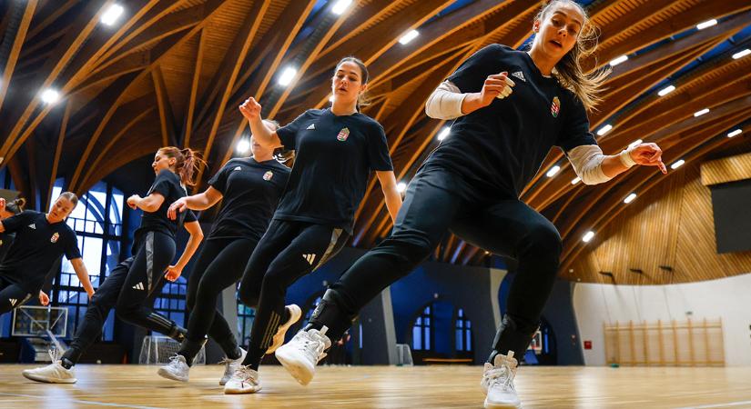 Gyenge játékkal kaptak ki a dánoktól a magyar kézisek