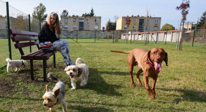 Üvegszilánkok és szemét borítja a városi futtatókat, kiborultak a szegedi kutyások