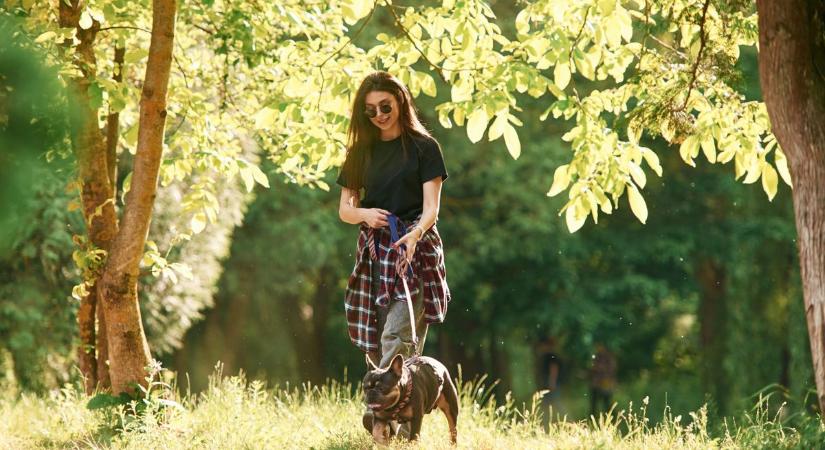 Fagyos reggel, napos délután – ilyen idő vár ránk pénteken