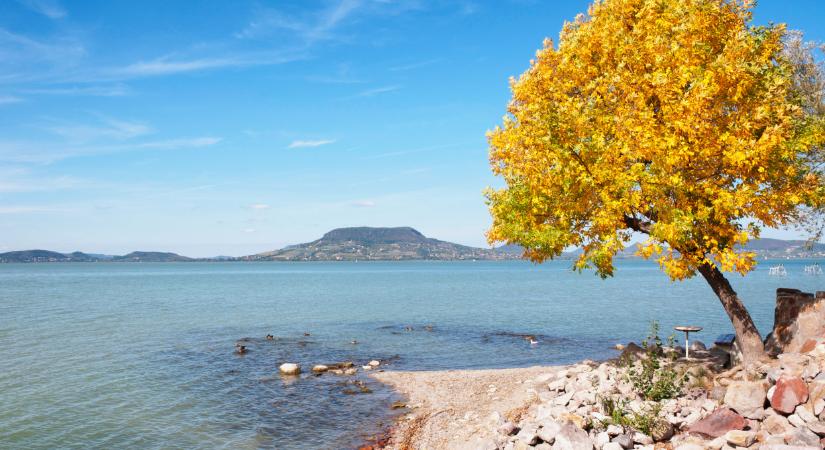 Vészjelzés a Balatonnál: rekord alacsony a víz, algásodnak a partok - a nyári szezon is veszélybe kerülhet?