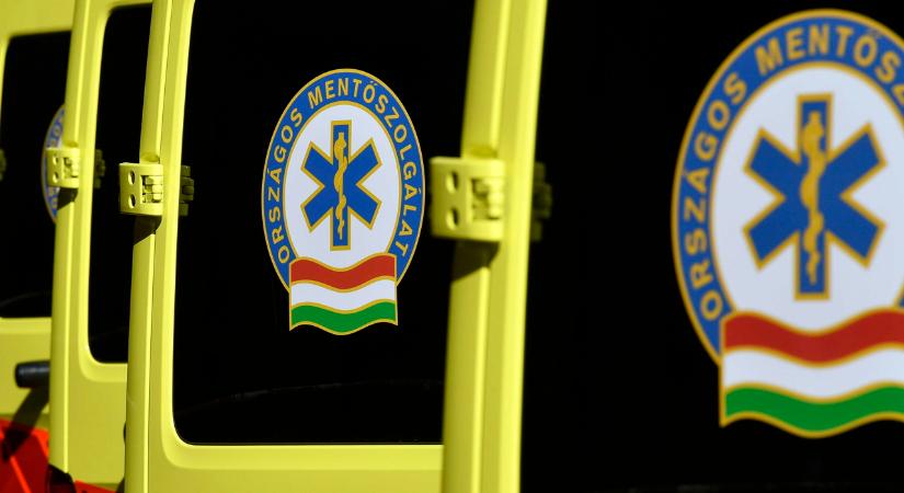 Családját védte az őrjöngő bikától a nógrádi fiú, megszólalt a drámai balesetről az édesanyja