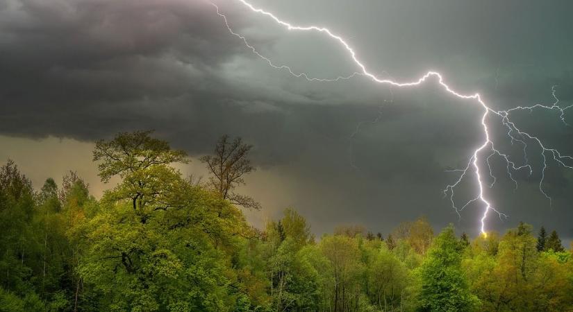 Valóban világít a fák teteje a zivatarban? Itt van rá a tudományos bizonyíték!