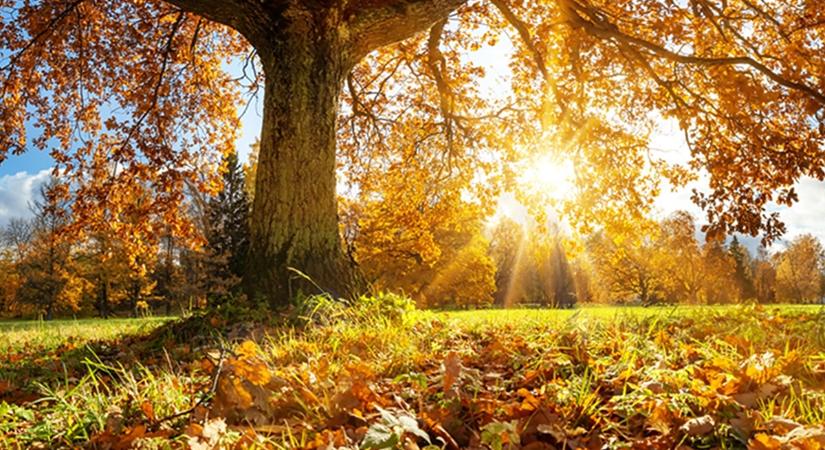 Beragad a napsütés, mutatjuk, mi történik