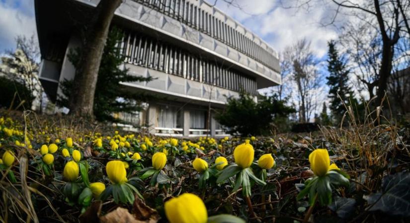 Tavaszi pompájában várja a látogatókat a soproni Botanikus Kert