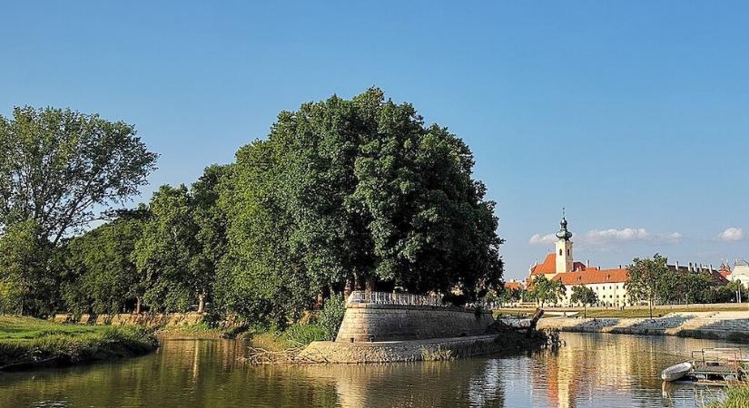 Új terveket készítenek a győri Radó-sziget északi részének megújításához