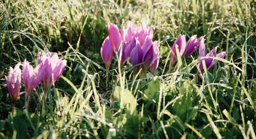 Négyhetes előrejelzés: ilyen idő lesz húsvétkor