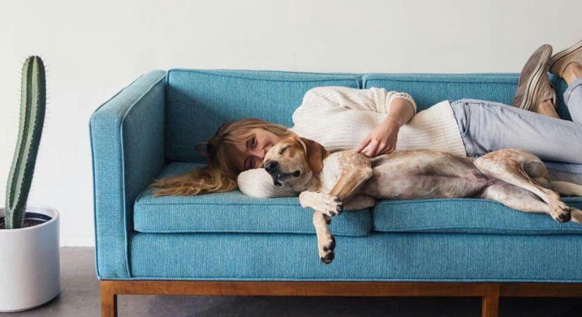 „Ahol a veszteségből kapcsolódás születhet” – Onody Viktória, az első hazai társállatgyász specialista