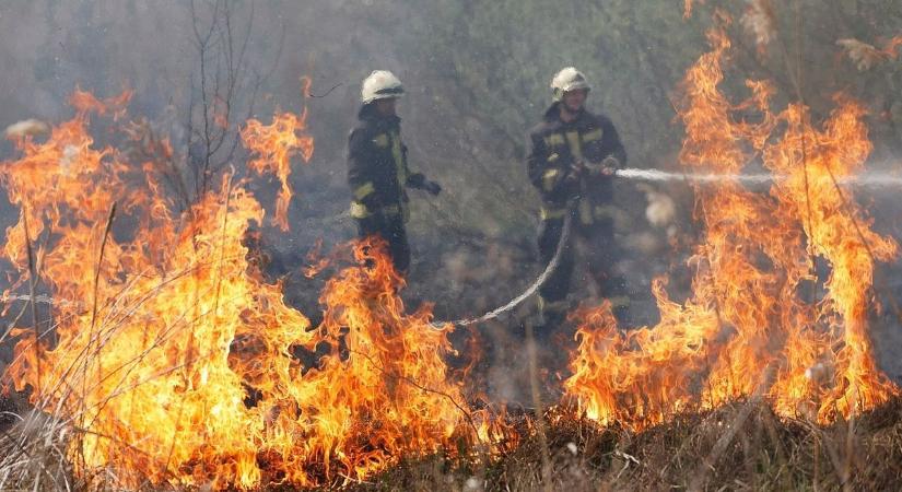 Szabadtéri tűz ütött ki Debrecennél, hatalmas terület állt lángokban!
