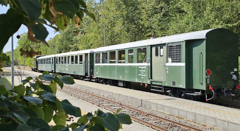 Marketing Gyémánt Díjat nyert a Zsuzsi