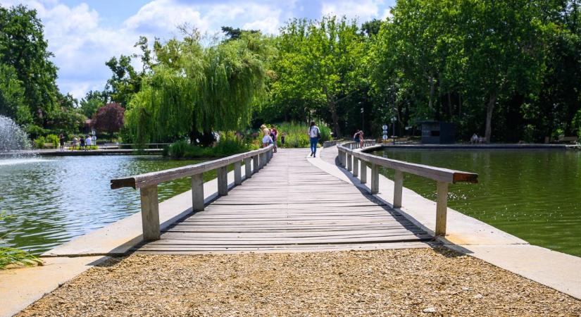 Megújult a Békás-tó hídja a Nagyerdőben, hamarosan birtokba vehetik a debreceniek – videóval
