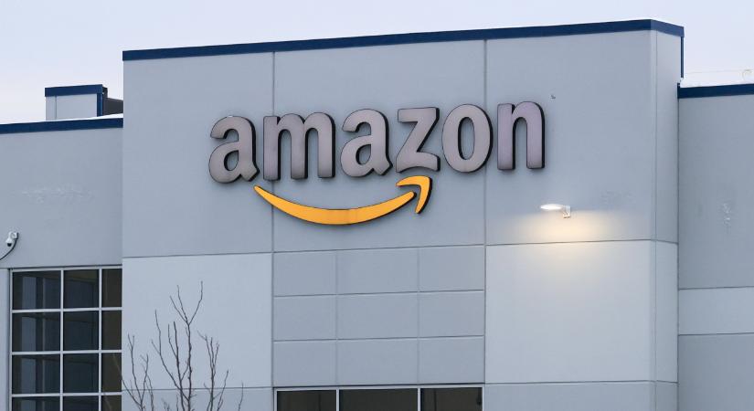 Összeomlott az Amazon, tömegek maradtak hoppon