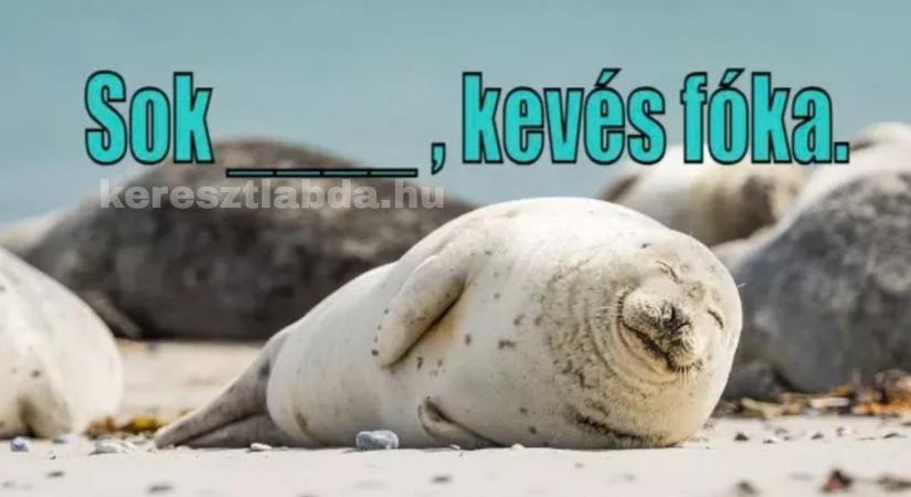 Csak a legszemfülesebbek tudják a hiányzó szót: Téged is megizzaszt ez a régi közmondás?