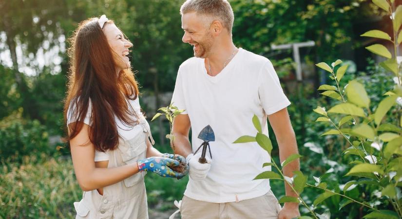 6 ok, amiért a kertészkedés bizonyítottan javítja a mentális egészséget