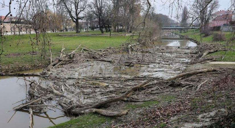 Eltorlaszolta a Rábát a feltorlódott uszadék, szétszedik a vízügyesek Győrben