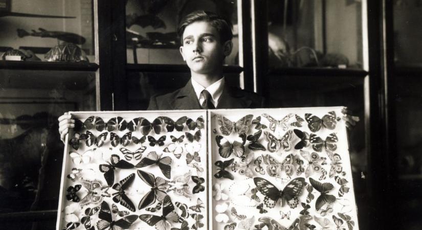 Gyűjtők és kollekciók – Idő- és pénzpazarlás vagy intellektuális elfoglaltság