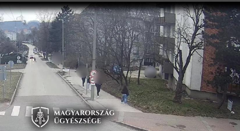 Odaugrott a 20 éves srác a 76 éves nénihez Tatabányán: borzalom, amit ezután tett