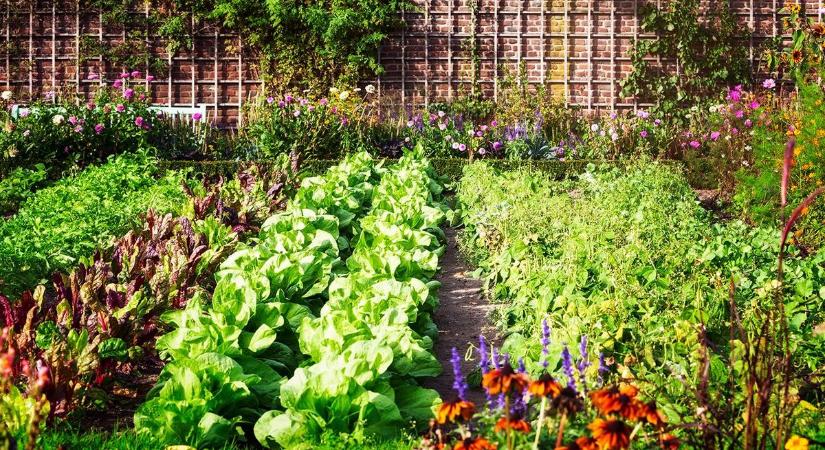 Ezen a településen keresik a legszebb kerteket – jelentkezzen Ön is!