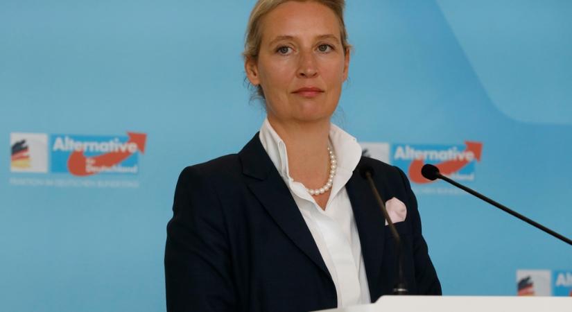 Alice Weidel: az ukrán elnök átlépett egy határt