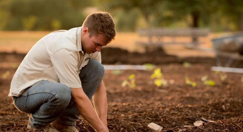 A tavaszi ásás nem mindig jó ötlet: ezért óvnak tőle a kertészek – és ezt csináld helyette