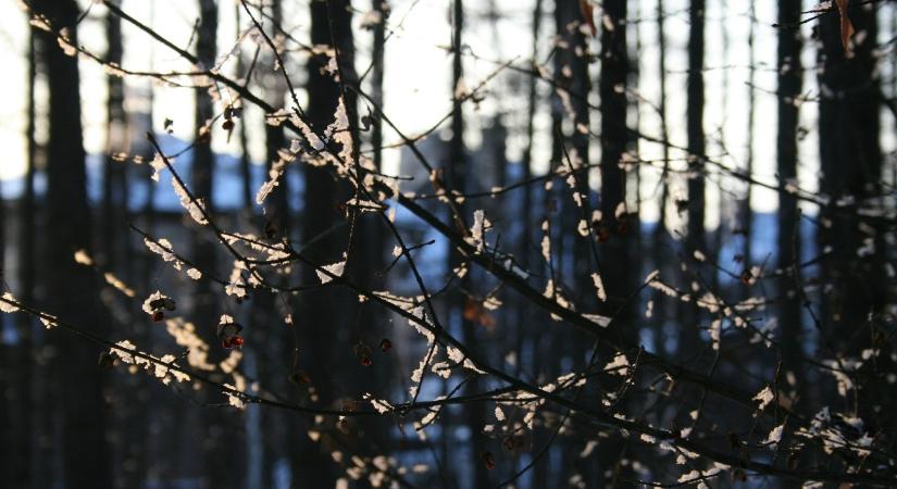 Szokatlanul melegnek bizonyult a február