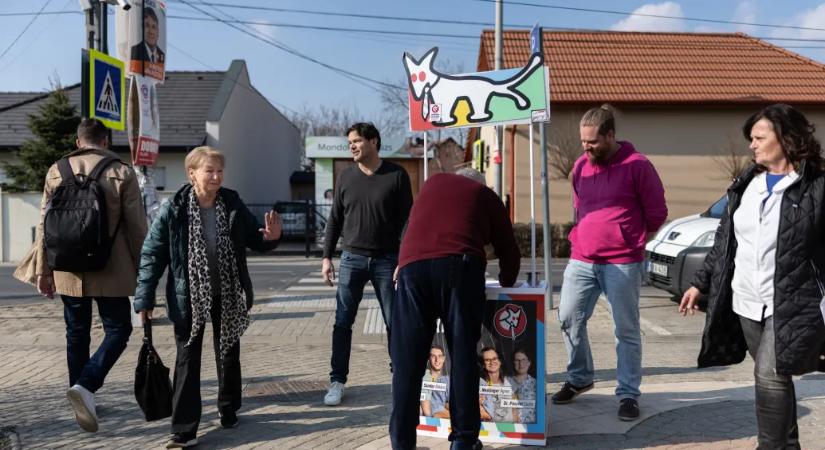 Kutyapárti ajánlásgyűjtési hajrá Vecsésen: a kopogtatás siralmas, a pult jól megy