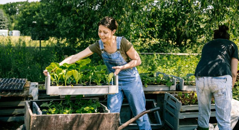Szemünk előtt a megoldás? Így lehetne megmenteni a mezőgazdaságot?