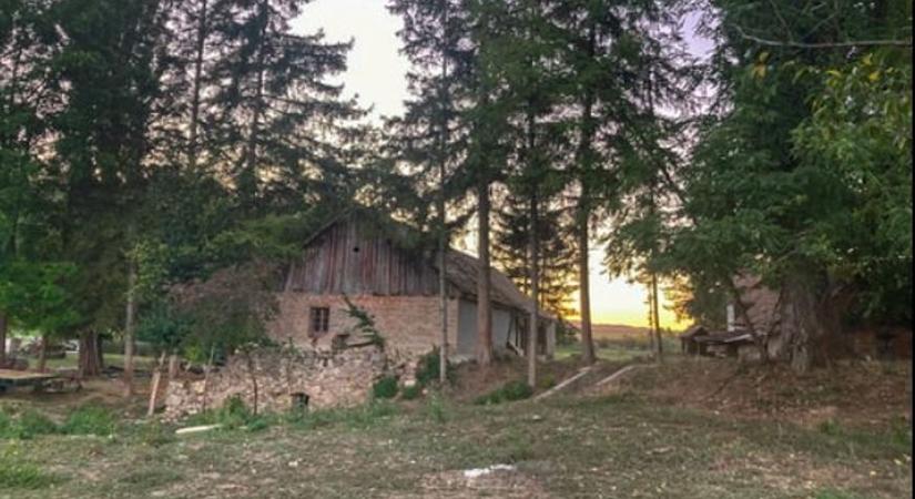 A fekedi vízimalom is felkerült Európa legveszélyeztetettebb örökségi helyszíneinek listájára