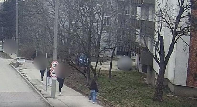 Fényes nappal támadt rá a 76 éves nőre Tatabányán, nem jutott messzire a rabló